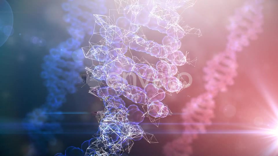 DNA Rotation Background Videohive 21955731 Motion Graphics Image 5