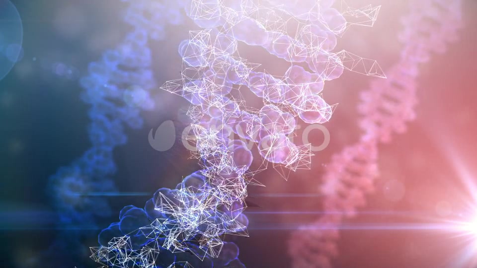 DNA Rotation Background Videohive 21955731 Motion Graphics Image 6