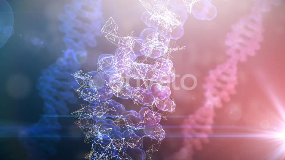 DNA Rotation Background Videohive 21955731 Motion Graphics Image 8