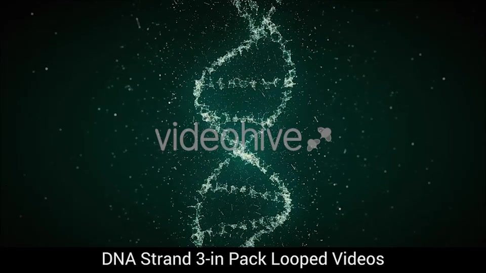 DNA Strand 3 in Pack Looped HD Videohive 19113892 Motion Graphics Image 4