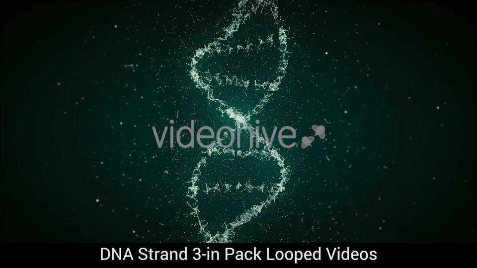 DNA Strand 3 in Pack Looped HD Videohive 19113892 Motion Graphics Image 7