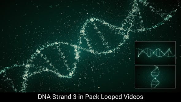 DNA Strand 3 in Pack Looped HD - Download Videohive 19113892