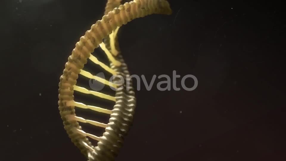 DNA Strand Breaking Apart Videohive 21760173 Motion Graphics Image 1