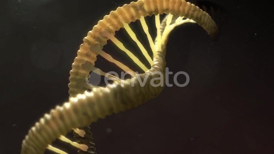 DNA Strand Breaking Apart Videohive 21760173 Motion Graphics Image 10