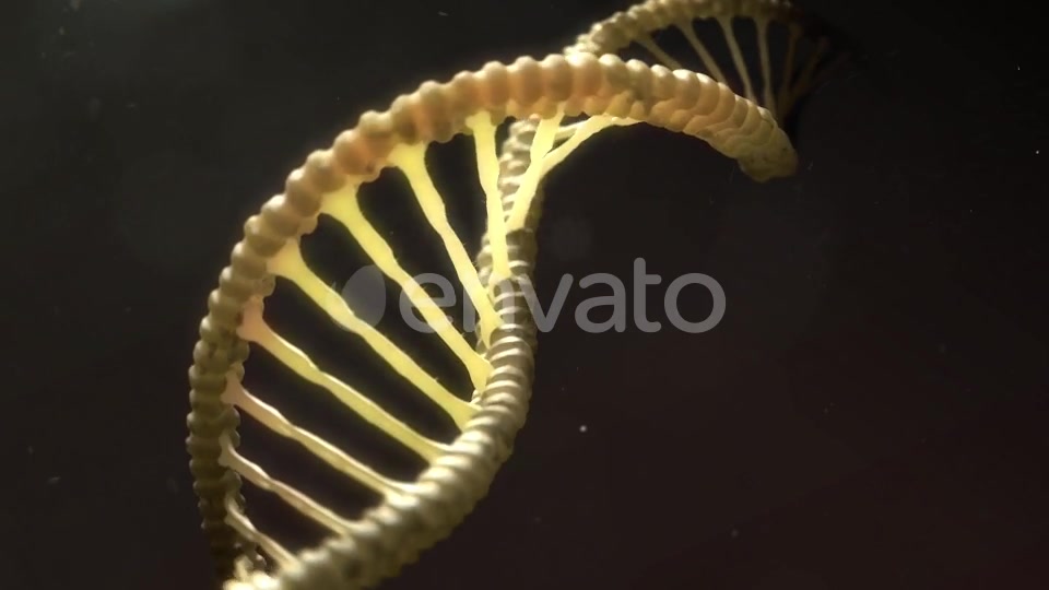 DNA Strand Breaking Apart Videohive 21760173 Motion Graphics Image 11