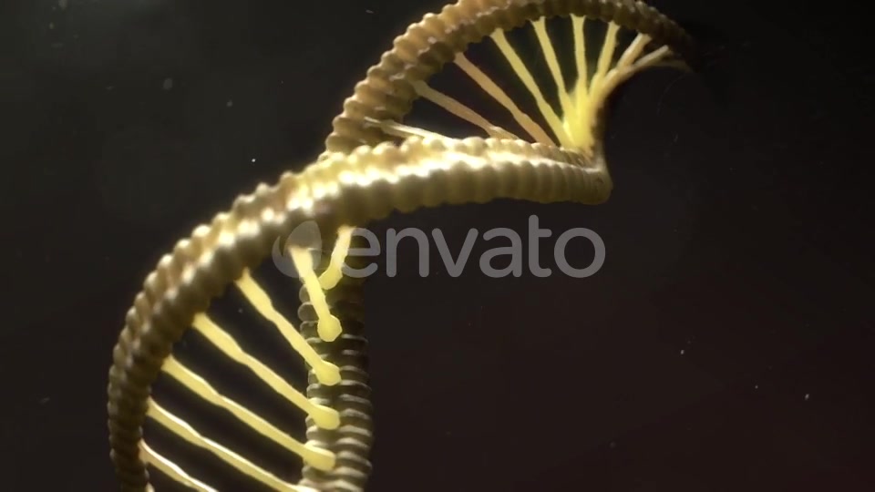 DNA Strand Breaking Apart Videohive 21760173 Motion Graphics Image 12