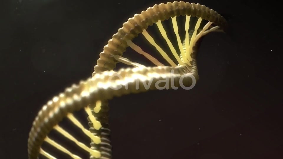 DNA Strand Breaking Apart Videohive 21760173 Motion Graphics Image 3