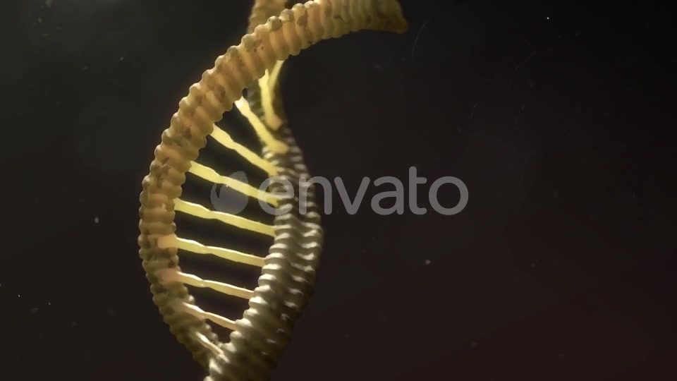 DNA Strand Breaking Apart Videohive 21760173 Motion Graphics Image 4