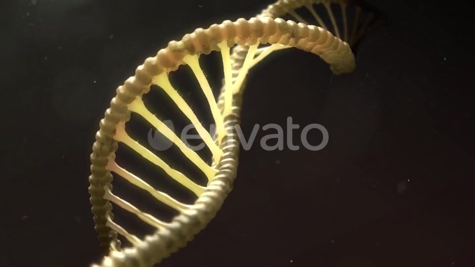DNA Strand Breaking Apart Videohive 21760173 Motion Graphics Image 5