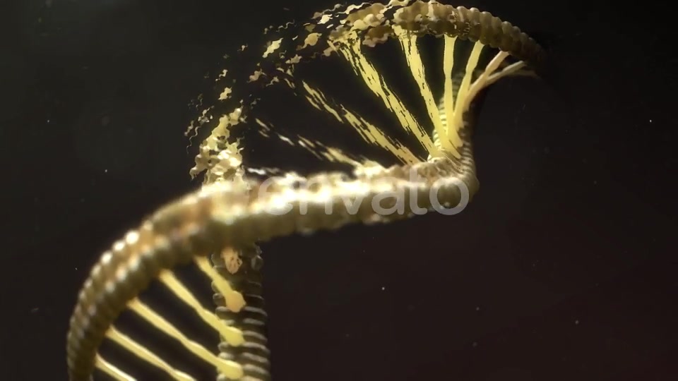 DNA Strand Breaking Apart Videohive 21760173 Motion Graphics Image 6