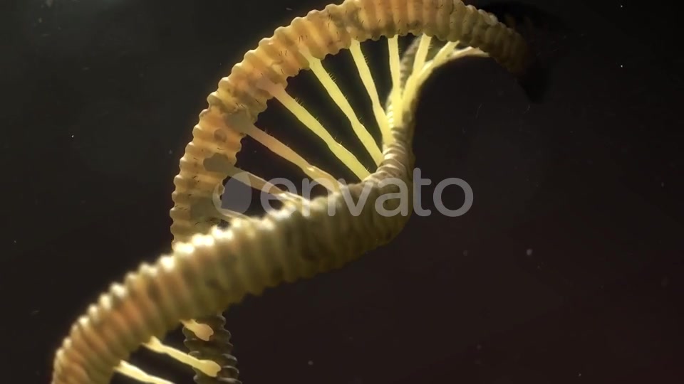 DNA Strand Breaking Apart Videohive 21760173 Motion Graphics Image 7