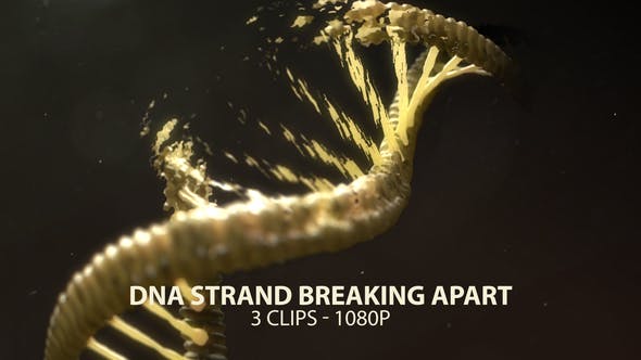 DNA Strand Breaking Apart - Download 21760173 Videohive