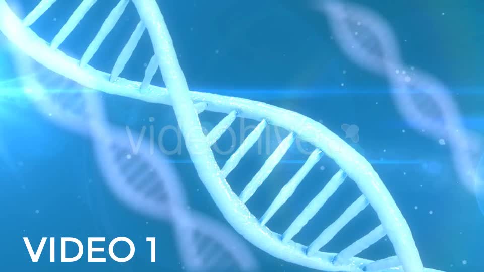 DNA Strands Pack Videohive 19313687 Motion Graphics Image 1