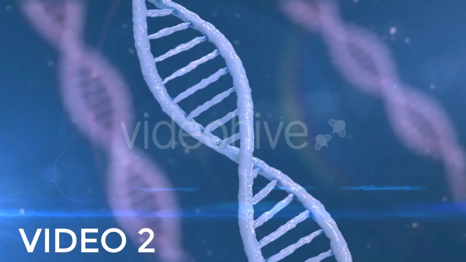 DNA Strands Pack Videohive 19313687 Motion Graphics Image 4