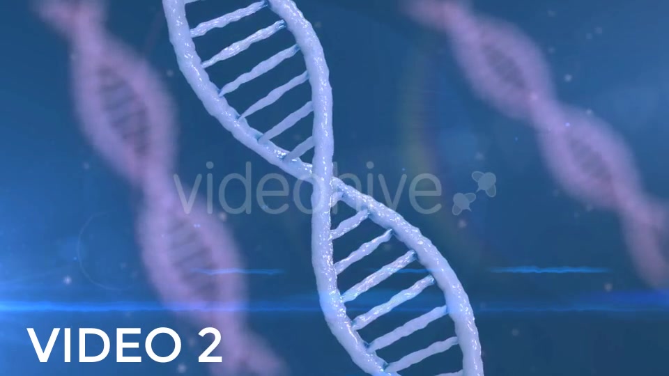 DNA Strands Pack Videohive 19313687 Motion Graphics Image 5