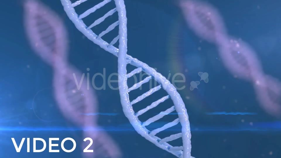 DNA Strands Pack Videohive 19313687 Motion Graphics Image 6