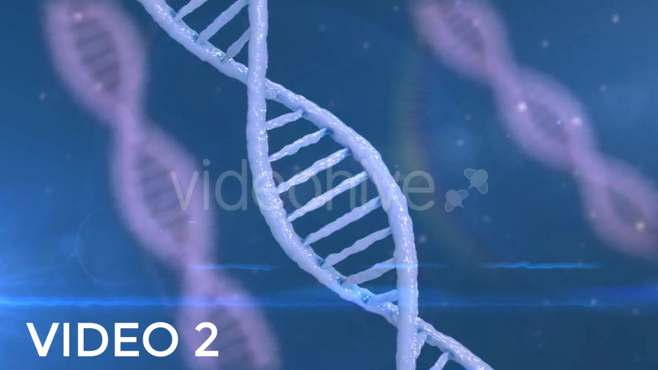 DNA Strands Pack Videohive 19313687 Motion Graphics Image 7