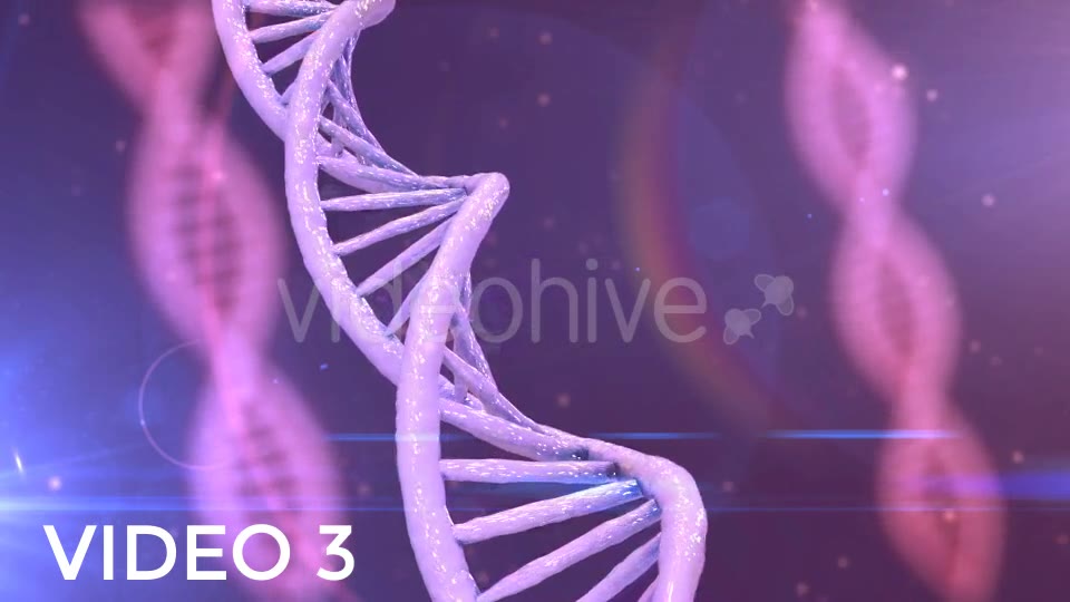 DNA Strands Pack Videohive 19313687 Motion Graphics Image 9