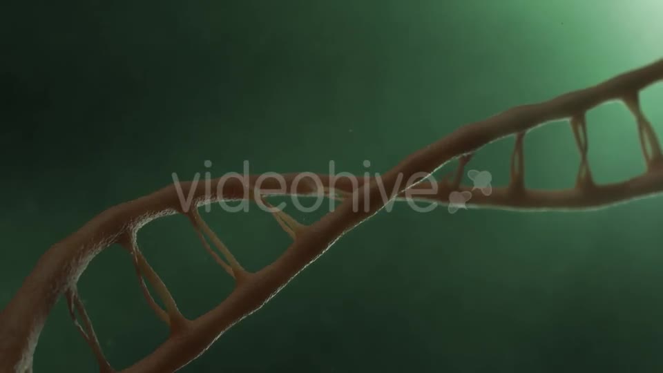 DNA v2 Videohive 19756215 Motion Graphics Image 1