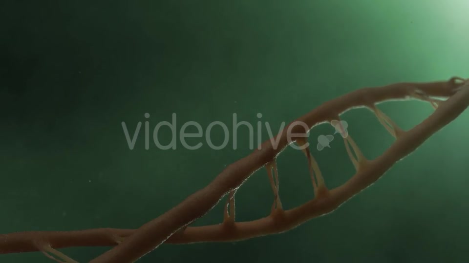 DNA v2 Videohive 19756215 Motion Graphics Image 3