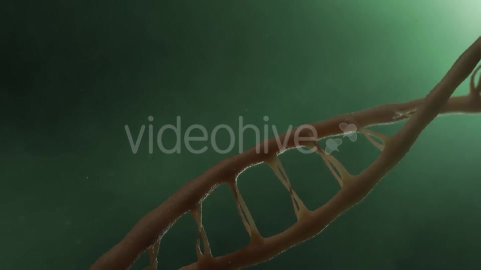 DNA v2 Videohive 19756215 Motion Graphics Image 4