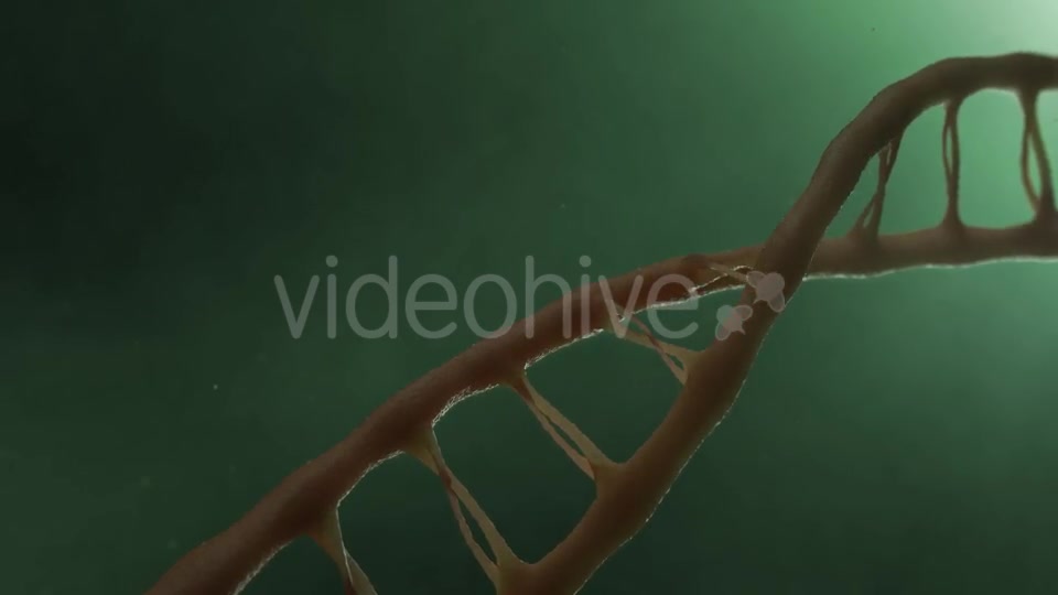DNA v2 Videohive 19756215 Motion Graphics Image 5