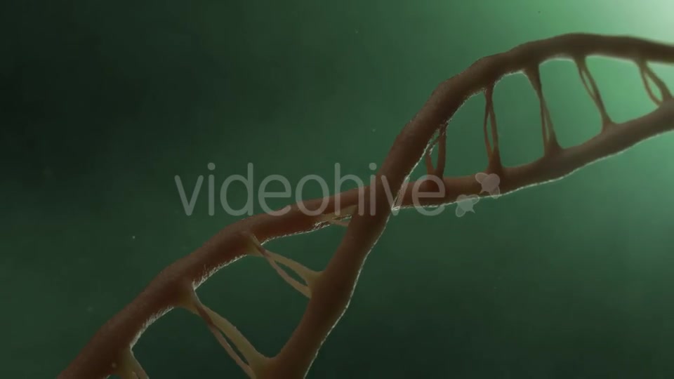 DNA v2 Videohive 19756215 Motion Graphics Image 6