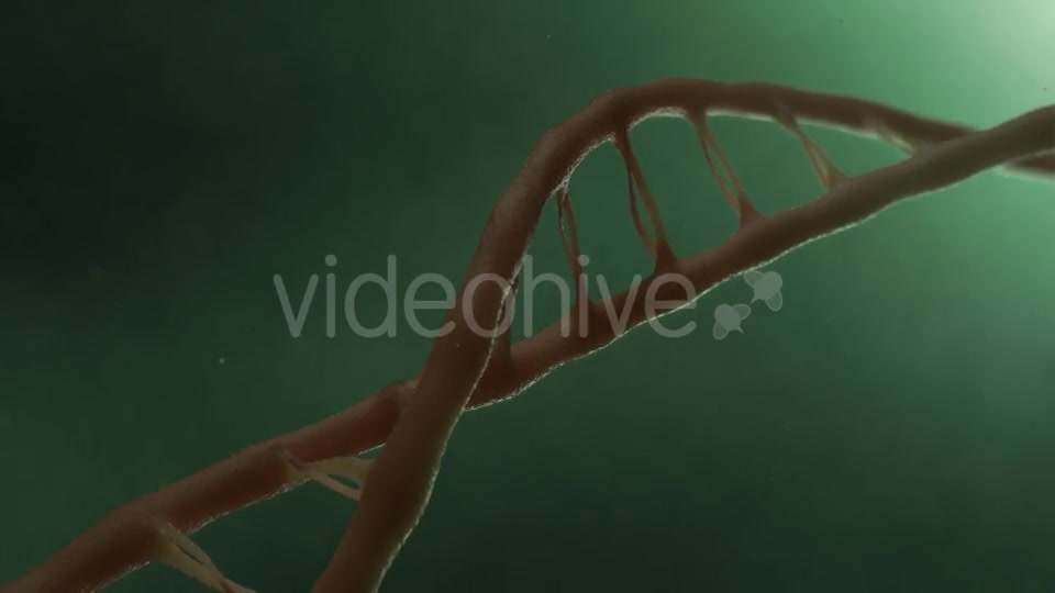 DNA v2 Videohive 19756215 Motion Graphics Image 7