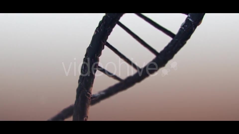 DNA Videohive 19889603 Motion Graphics Image 10