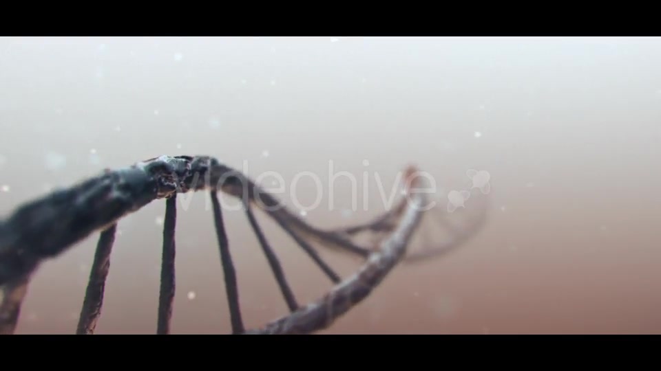 DNA Videohive 19889603 Motion Graphics Image 3