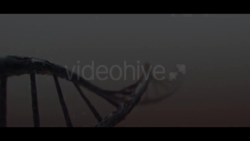 DNA Videohive 19889603 Motion Graphics Image 4