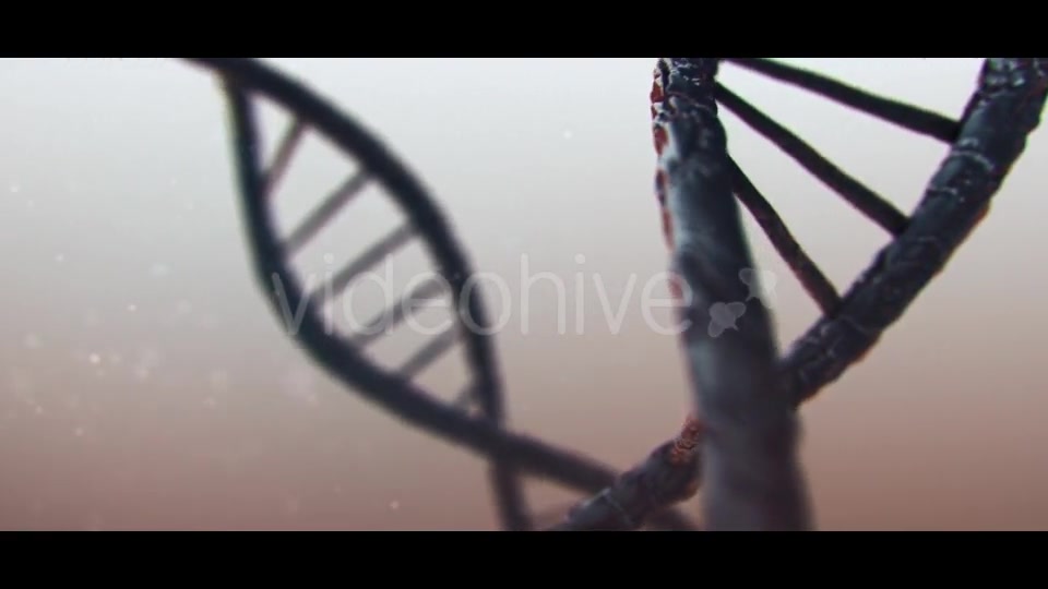 DNA Videohive 19889603 Motion Graphics Image 5