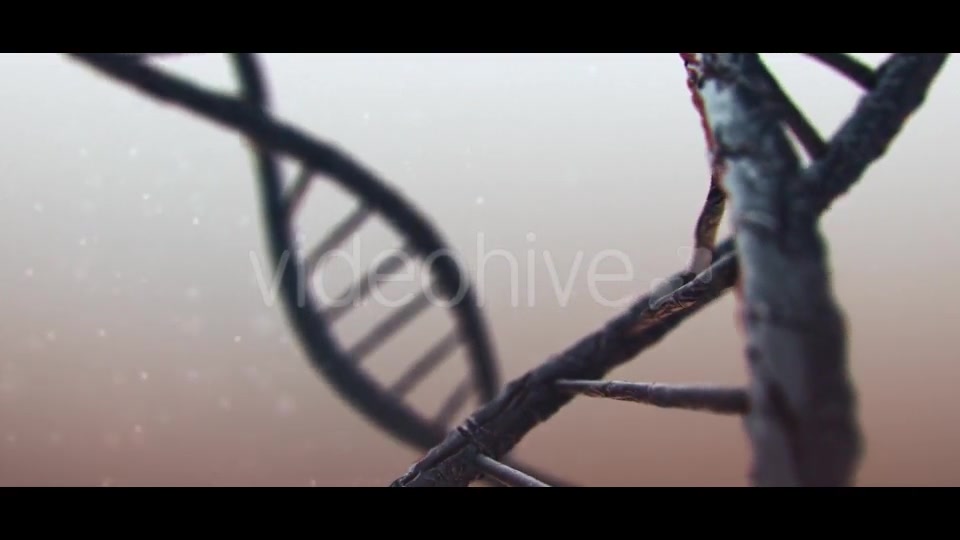 DNA Videohive 19889603 Motion Graphics Image 6