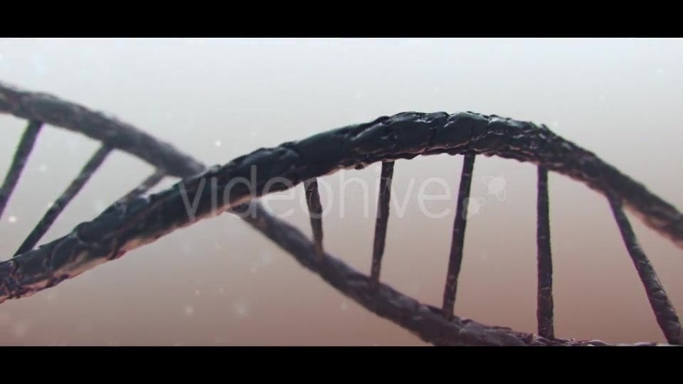 DNA Videohive 19889603 Motion Graphics Image 7