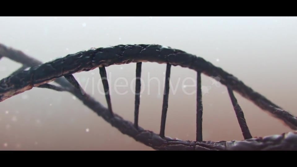 DNA Videohive 19889603 Motion Graphics Image 8