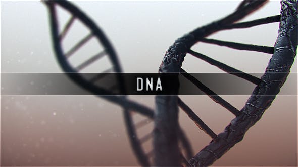 DNA - Videohive 19889603 Download