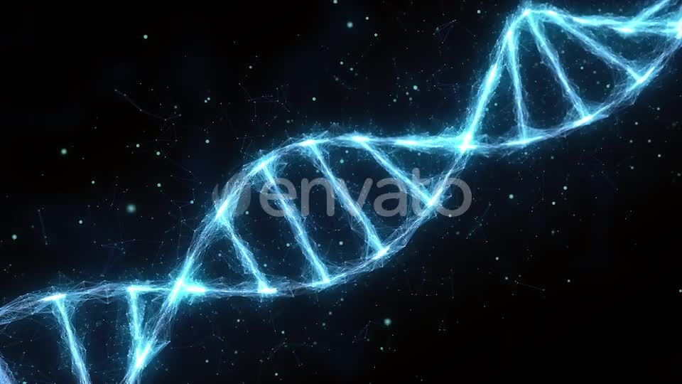 Dna Videohive 25591018 Motion Graphics Image 1