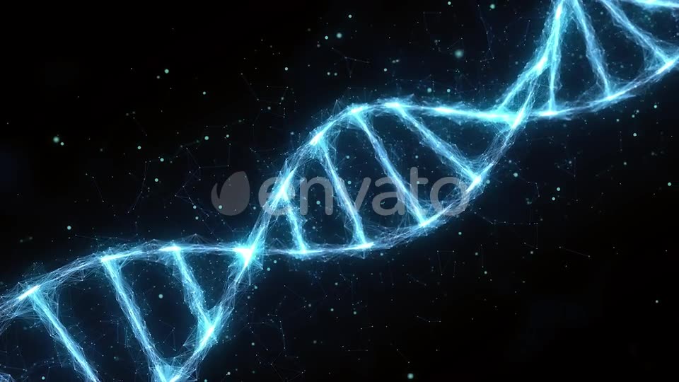Dna Videohive 25591018 Motion Graphics Image 2