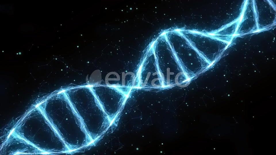 Dna Videohive 25591018 Motion Graphics Image 3