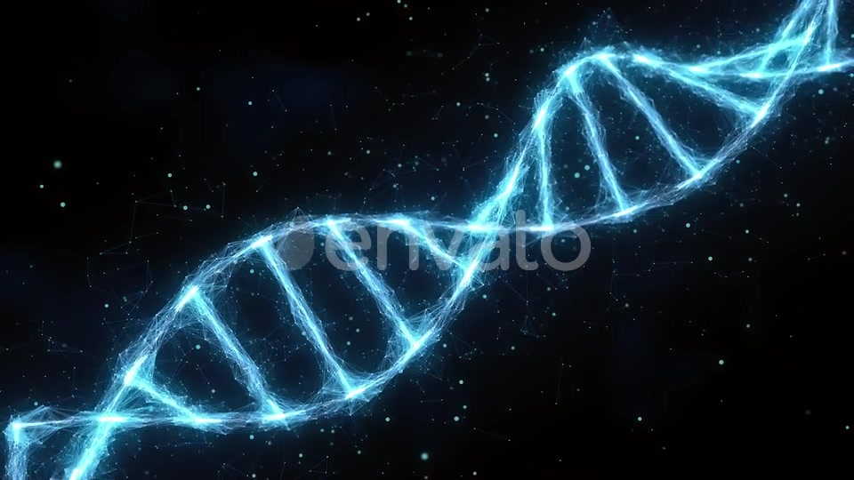 Dna Videohive 25591018 Motion Graphics Image 4