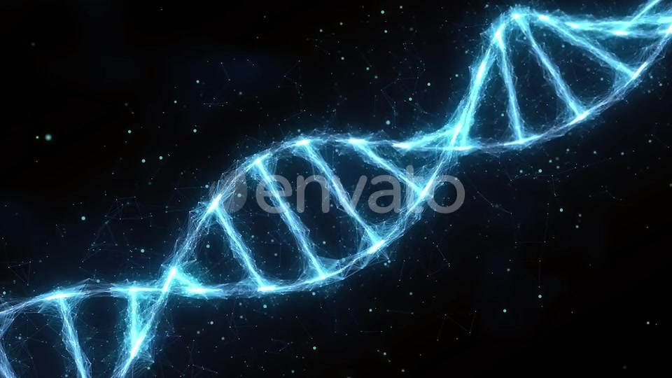 Dna Videohive 25591018 Motion Graphics Image 5