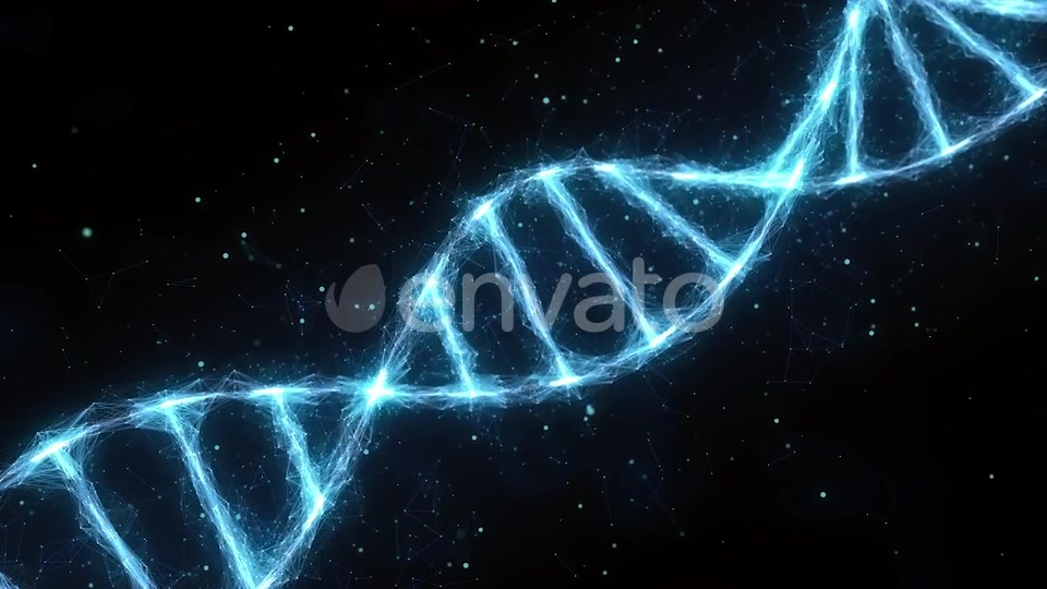 Dna Videohive 25591018 Motion Graphics Image 6