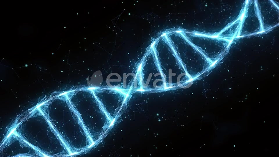 Dna Videohive 25591018 Motion Graphics Image 7