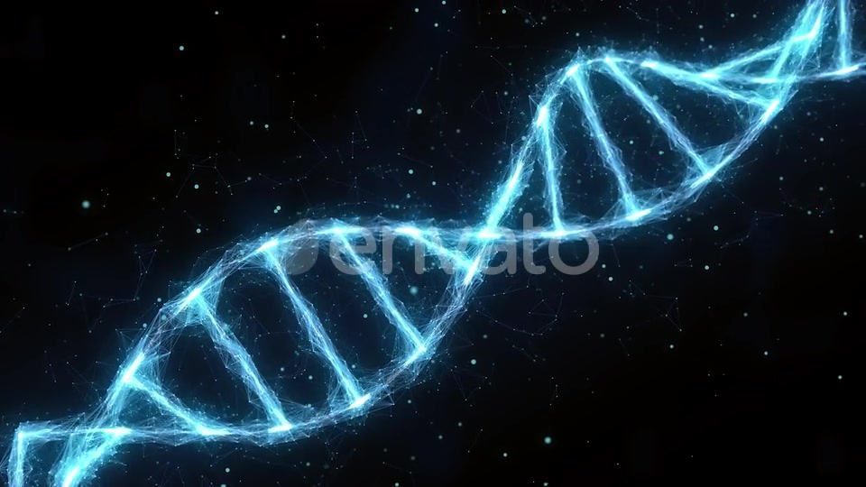 Dna Videohive 25591018 Motion Graphics Image 8