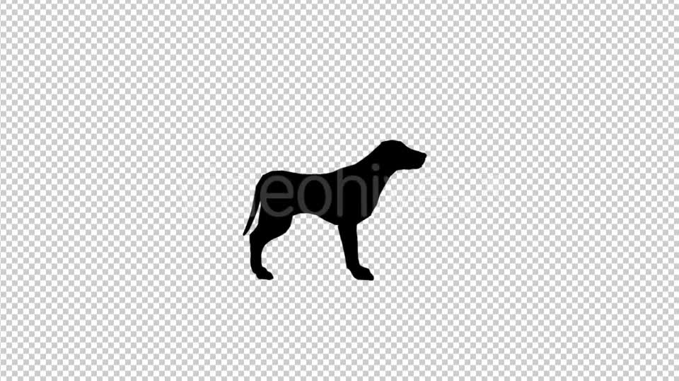 Dog Silhouette Videohive 20212173 Motion Graphics Image 1