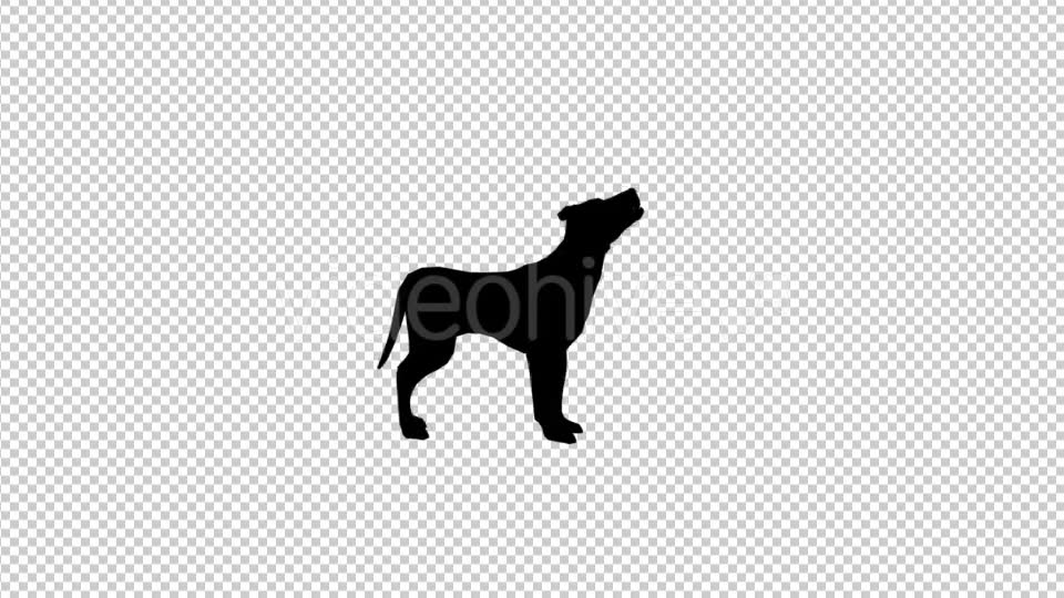 Dog Silhouette Videohive 20212173 Motion Graphics Image 2