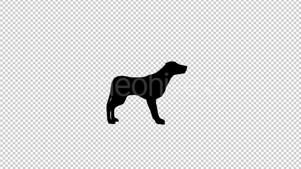 Dog Silhouette Videohive 20212173 Motion Graphics Image 3