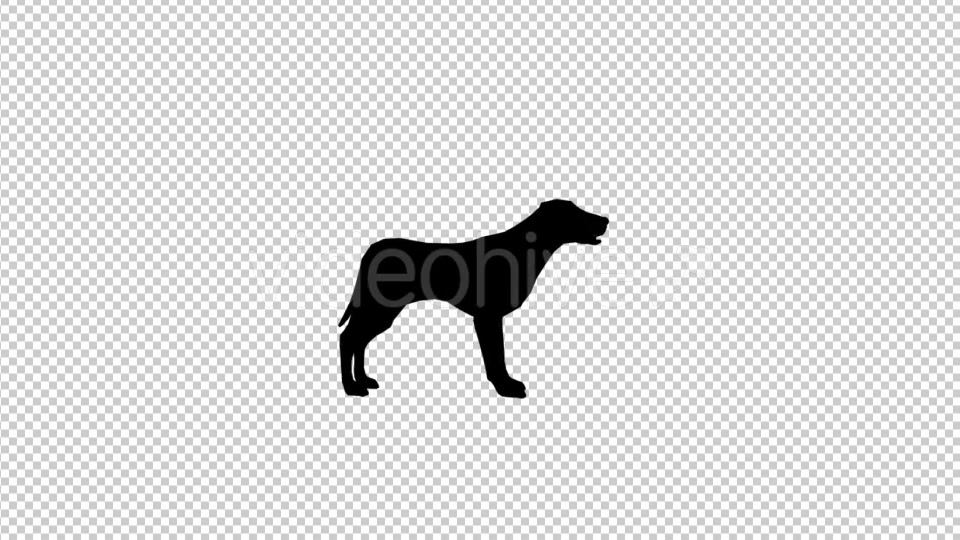 Dog Silhouette Videohive 20212173 Motion Graphics Image 4