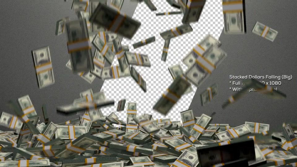 Dollars Pack / Money Pack Videohive 18553178 Motion Graphics Image 5