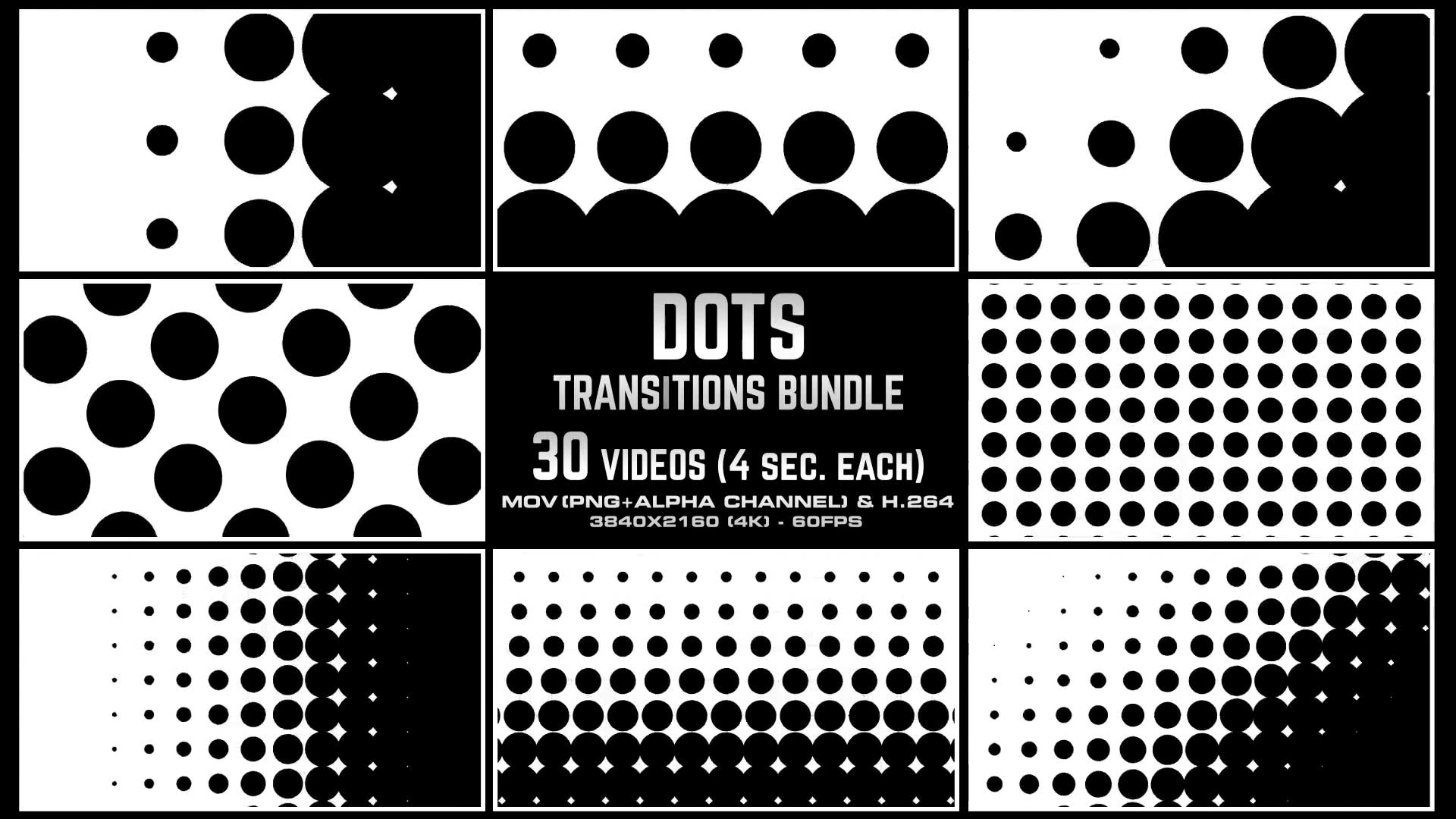 Dots Transitions Bundle 4K Videohive 24936159 Motion Graphics Image 6